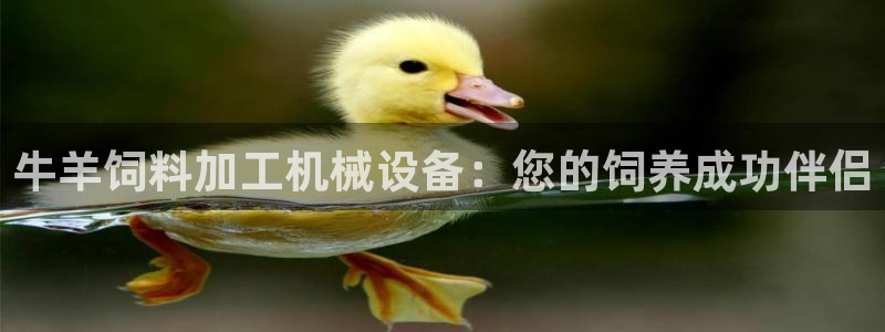 九游会口碑怎么样
