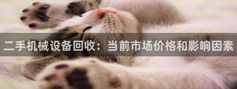 九游会ag真人官网|九游真人