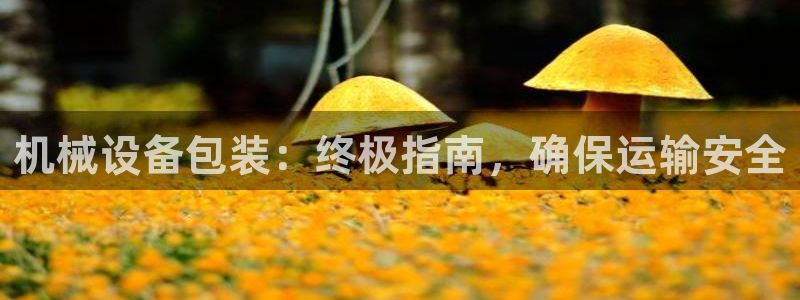 九游会黑钱吗