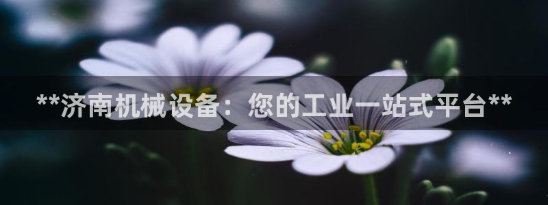 J9九游会登陆