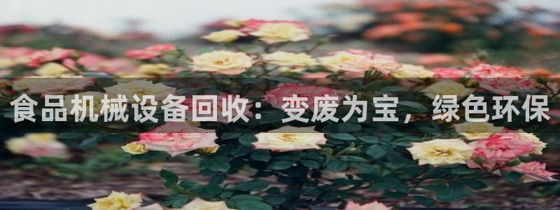 九游会关服吗