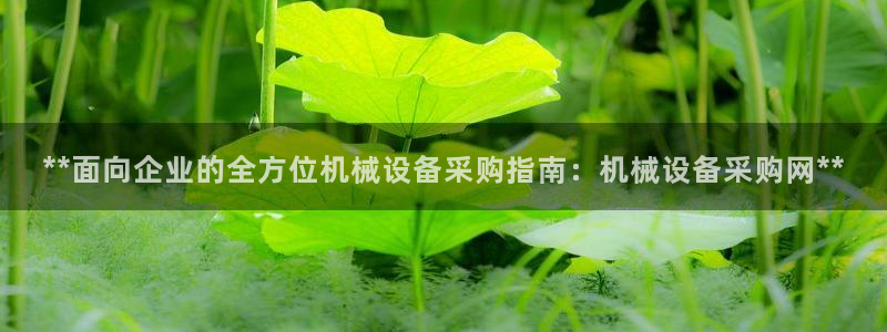 九游会官方视讯