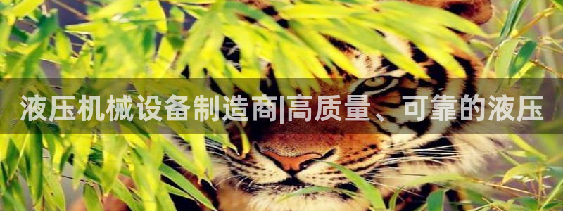 J9九游会手机登录