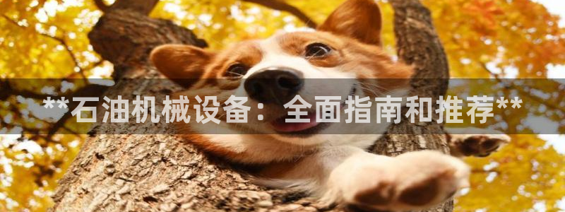 九游会网页