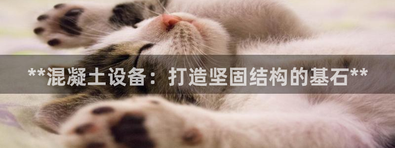 九游会平台怎么样