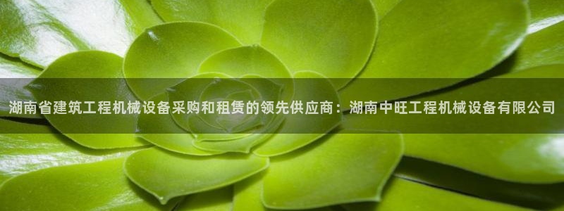 九游会官网ag旧版