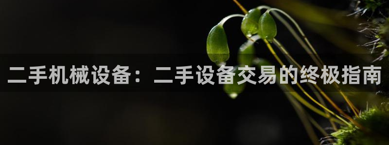 j9九游会买u多少一个