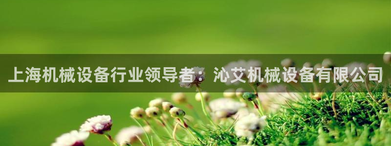 j9九游会真人游戏第一品牌