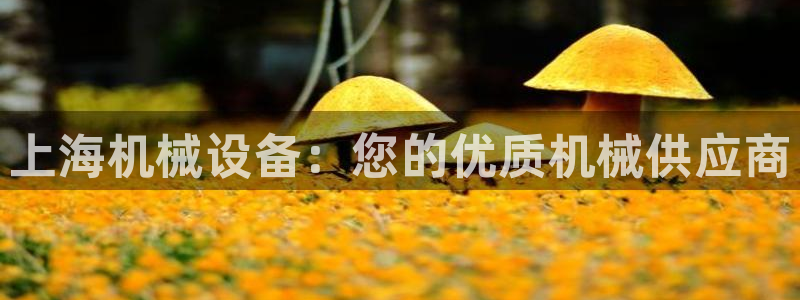 九游会官网真人认证吗是真的吗