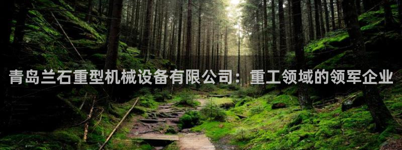 九游会注册网址