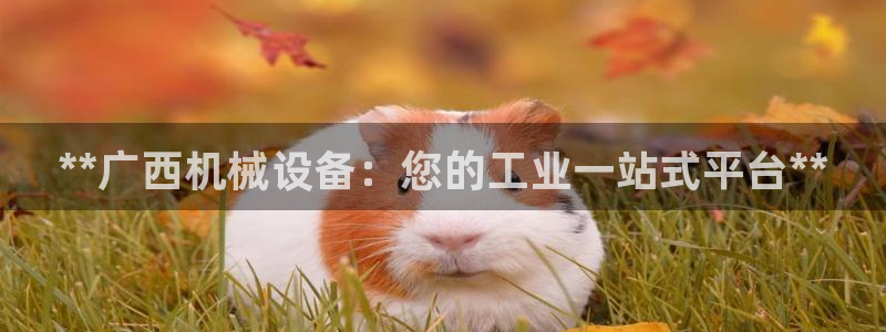 九游会的网址是多少