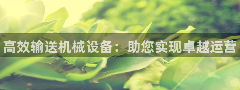 九游会 ag