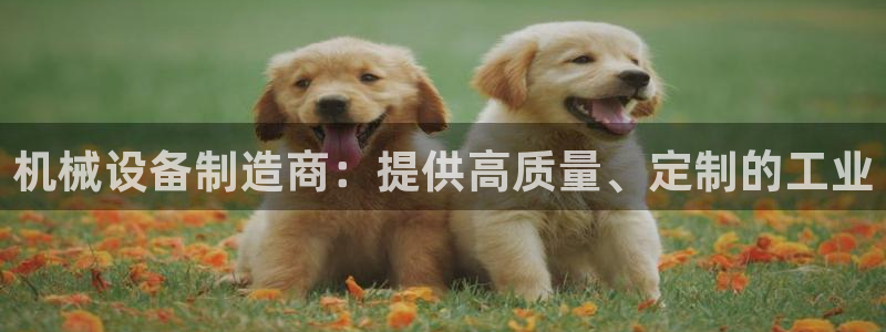 九游会官方选网址是j9.cm