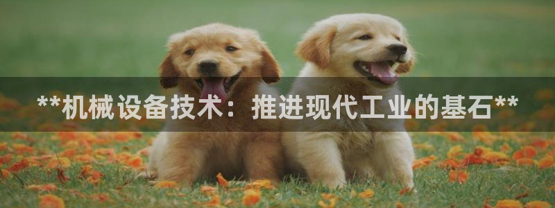 ag8九游