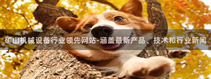 九游会网址最新