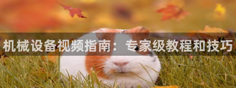 j9九游会安卓版下载