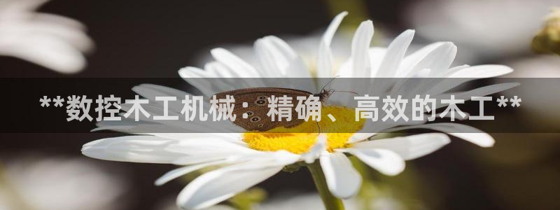 九游会中国j9