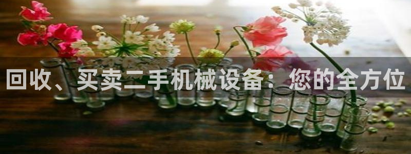 j9九游会真人手机版