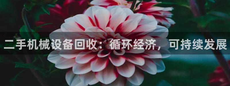 九游j9国际