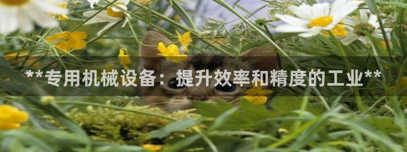 九游会官网j9j9