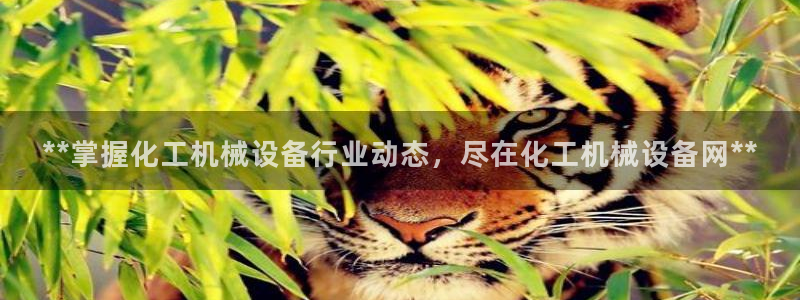 九游会游戏网址