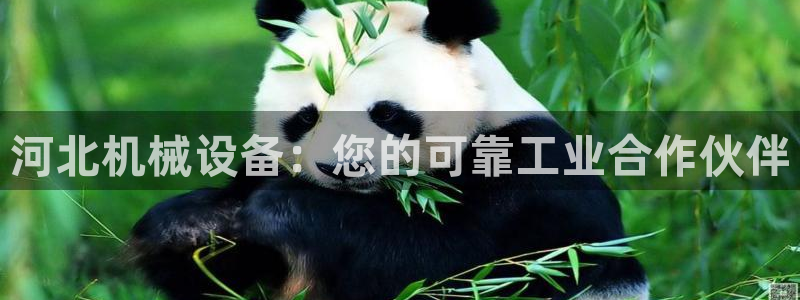 九游会亚洲第一