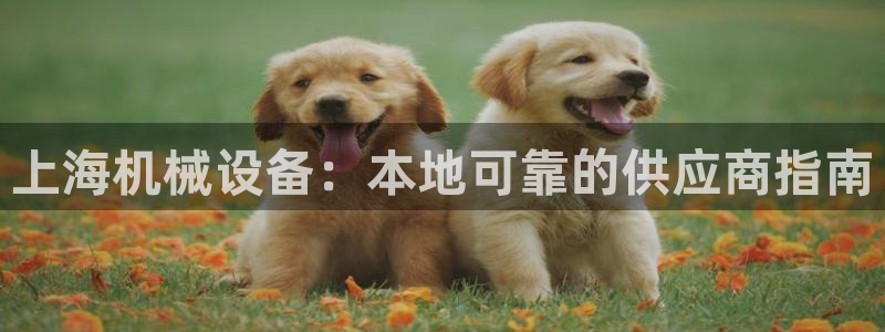 九游会官网登入首页