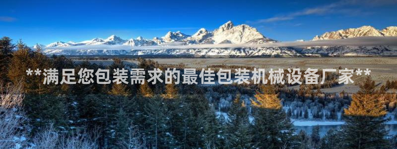 九游会官网真人游戏第一品牌
