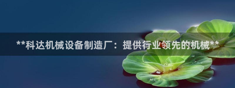 ag九游会老哥