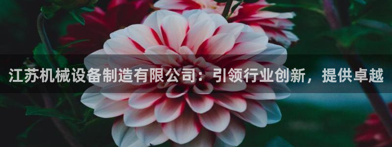 九游会ag真人官网ios