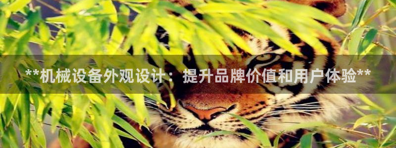 j9九游会官方网站国际怎么样