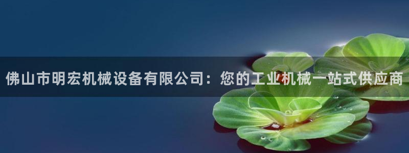 九游j9官网入口