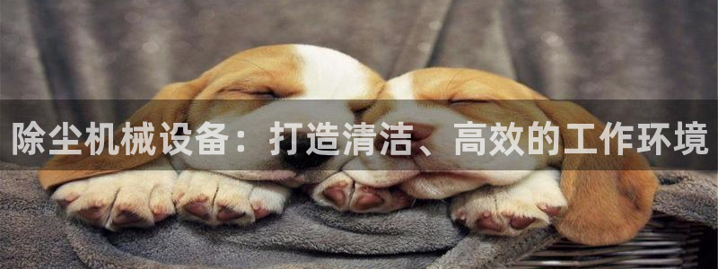 ag怎么变成九游会了