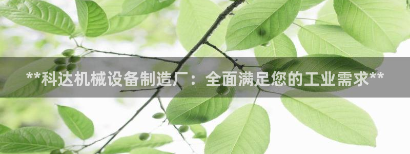 九游会ag老哥