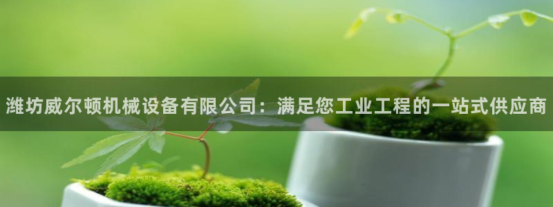 9游会官方网站