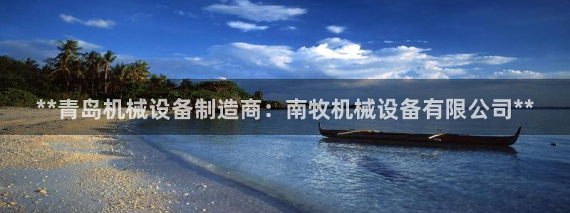 九游会国际站