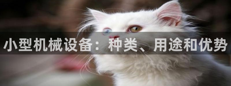九游会官方平台