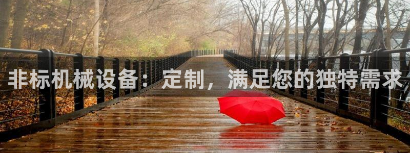 九游会中国入口嘛