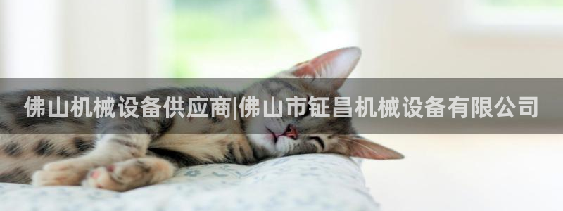 九游会集团正规吗