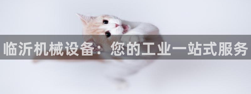 ag九游会app下载版官网正版
