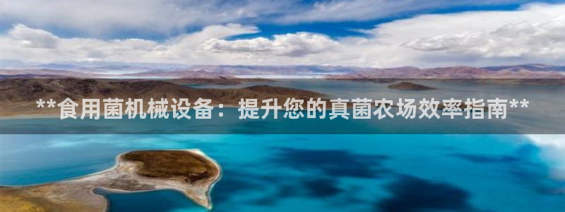 九游会老哥必备的俱乐部交流区论坛