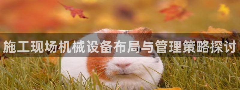 ag改九游会