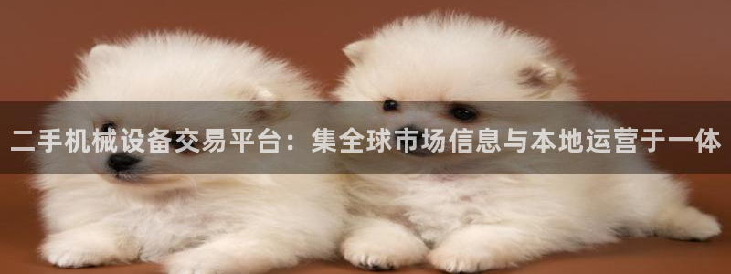 j9九游会app下载