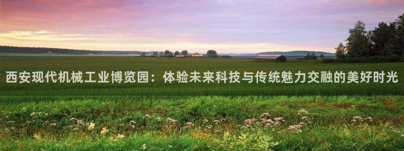 九游j9会
