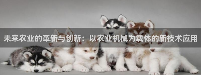 ag九游会登入