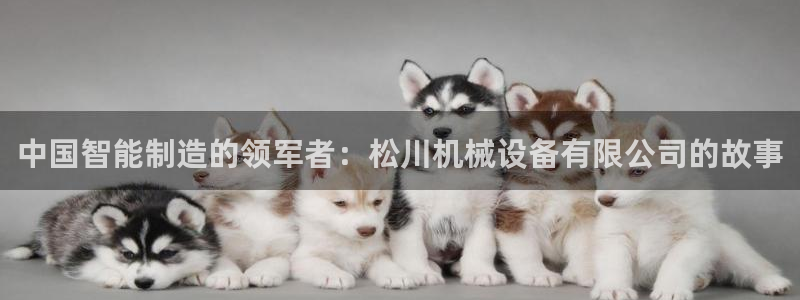 j9九游会登陆入口