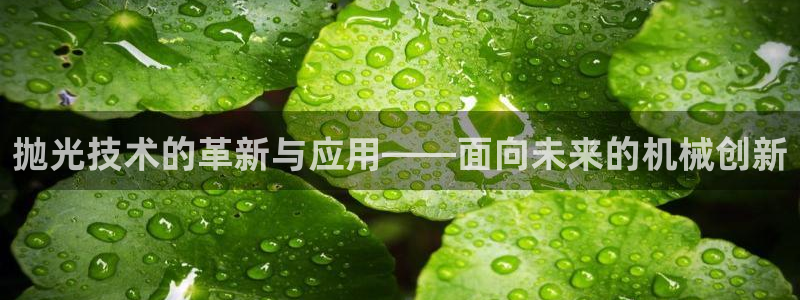 九游会首页官网