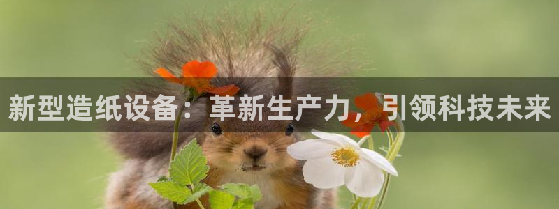 九游会j9官方网站