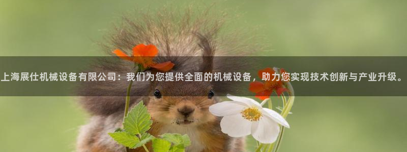 j9九游会app官网下载