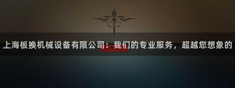ag九游网：上海板换